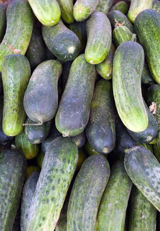 green cucumber at farmers' market. natural background.の写真素材