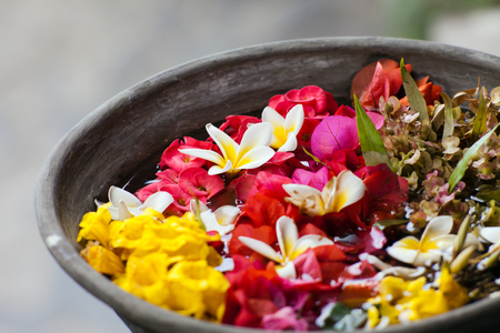 fresh and beautiful flowers in a pot Bali Indonesiaの写真素材