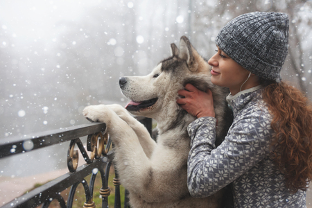 Image of young girl with her dog, alaskan malamute, outdoorの写真素材