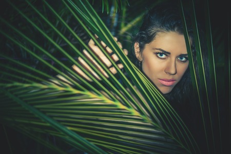 Summer Portrait of Young Sexy Woman Through Palm Treeの写真素材