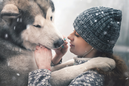 Image of young girl feeding her dog, alaskan malamute, outdoorの写真素材