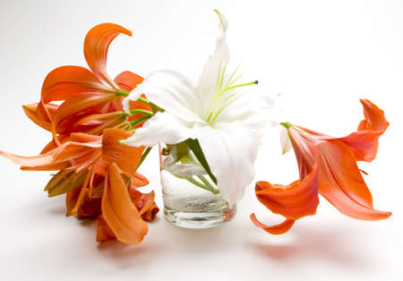 tow pipes of flowerの写真素材