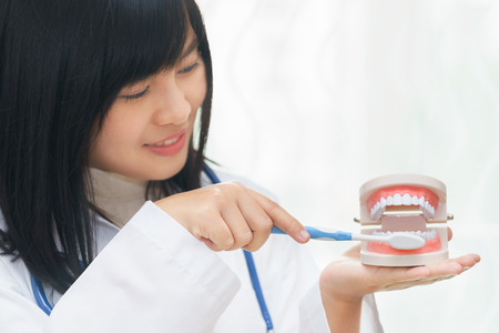 Female dentist demonstrate brushing teeth with teeth modelの写真素材