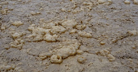 foams slurry wastewater treatment plant
