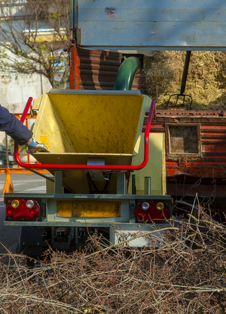 Workers insert the pruned branches of a garden in a machine wood shredderの写真素材