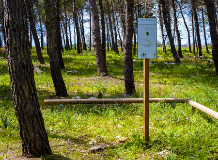 Fitness training in forest. Sign planted in a forest that indicatesの写真素材