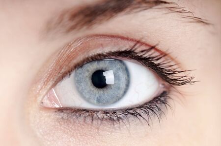 beautiful blue eye girl macro