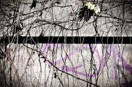 wall texture and asphalt with vignetteの写真素材