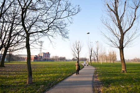 winter green park with trees, dry leaves and people walkingの写真素材