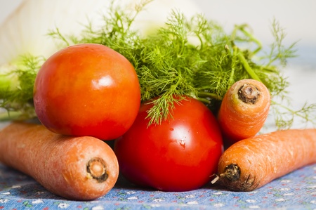 tomatoes, carrots and fennel on blue tablecloth on the tableの写真素材