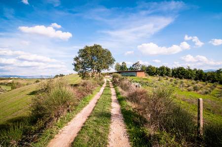Tuscan countryside landscape with blue sky, clouds and meadowsの写真素材