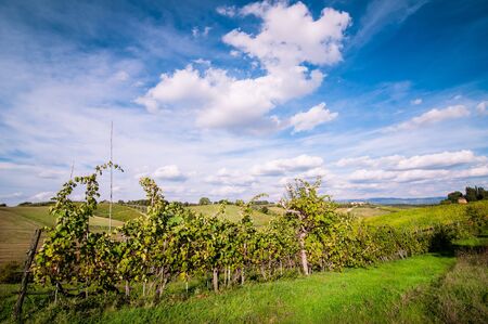 Tuscan countryside landscape with blue sky, clouds and meadowsの写真素材