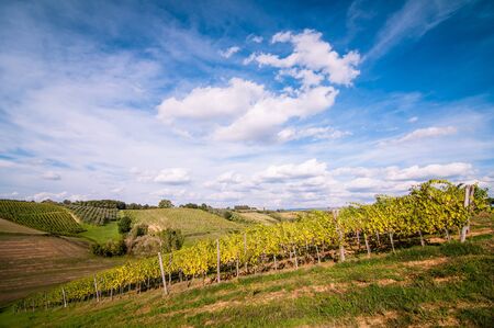 Tuscan countryside landscape with blue sky, clouds and meadowsの写真素材