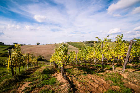 Tuscan countryside landscape with blue sky, clouds and meadowsの写真素材