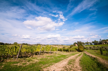 Tuscan countryside landscape with blue sky, clouds and meadowsの写真素材