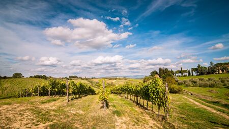 Tuscan countryside landscape with blue sky, clouds and meadowsの写真素材