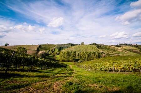 Tuscan countryside landscape with blue sky, clouds and meadowsの写真素材