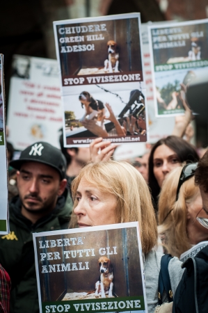 MILANO, ITALY - MAY 8  Manifestation against vivisection in Milan May 8, 2012  People protest in Milan against vivisection, struggling to close the dog testing center Green Hill and promoting veganismのeditorial素材