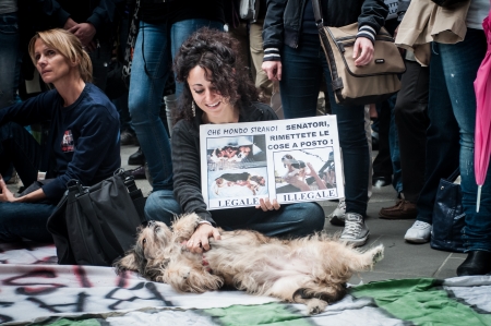 MILANO, ITALY - MAY 8  Manifestation against vivisection in Milan May 8, 2012  People protest in Milan against vivisection, struggling to close the dog testing center Green Hill and promoting veganismのeditorial素材