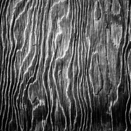 black and white artistic wood texture patternの写真素材