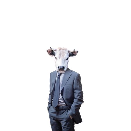 business man with bull head on white backgroundの写真素材