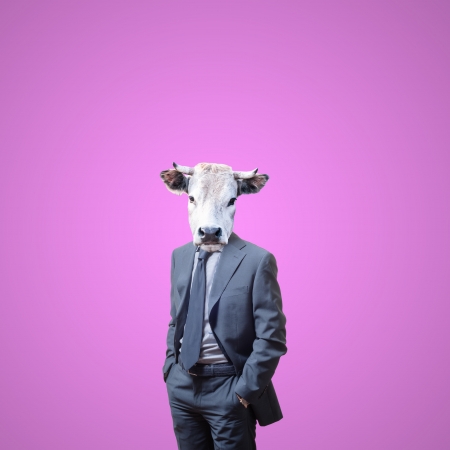 business man with bull head on pink backgroundの写真素材