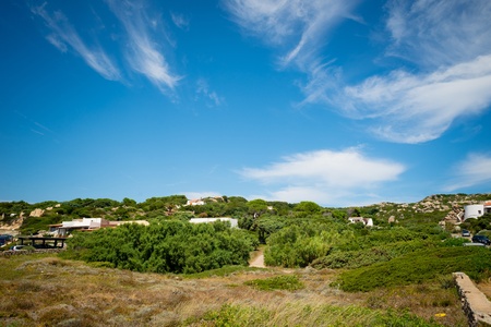 costa paradiso sardinia sea landscape in summertimeの写真素材