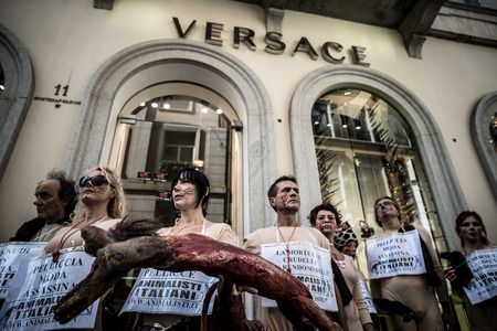 MILAN, ITALY - SEPTEMBER 17: Animalisti Italiani protest on September 17, 2013. Animal right association 'Animalisti Italiani' protest against furs and fashion, in famous fashion Milan street Monte Napoleoneのeditorial素材