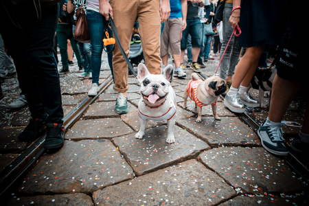 MILAN, ITALY - JUNE 29: gay pride manifestation in Milan June 29, 2013. Normal people, gay, lesbians, transgenders and bisexuals take to the street for their rights organizing a street parade partyのeditorial素材