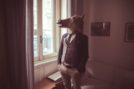 horse mask man in front of window at homeの写真素材