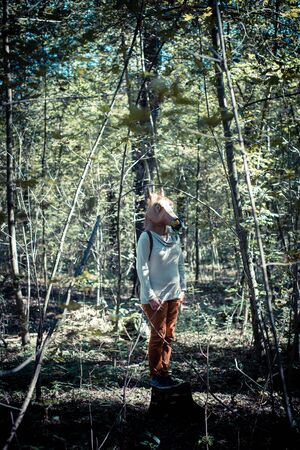 young hipster horse mask woman in the woodland autumnの写真素材