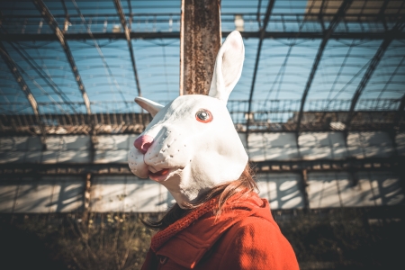 rabbit mask woman red coat winter desolate landscapeの写真素材