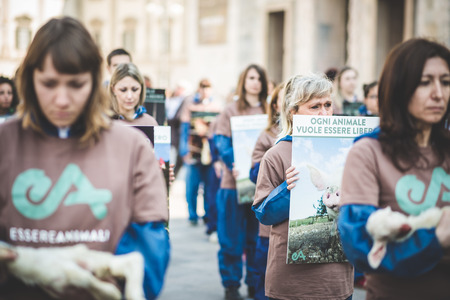 MILAN, ITALY - APRIL 13: Essere Animali protest on April, 13 2014: a group of activists of animal rights association 'Essere Animali' performed with real dead lambs in city center before easterのeditorial素材