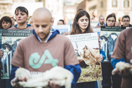 MILAN, ITALY - APRIL 13: Essere Animali protest on April, 13 2014: a group of activists of animal rights association 'Essere Animali' performed with real dead lambs in city center before easterのeditorial素材