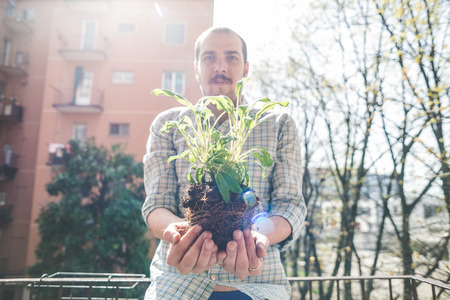 handsome stylish man holding basil plant at homeの写真素材