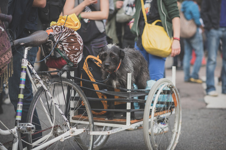 MILAN, ITALY - OCTOBER 11: demonstration held in Milan october 11, 2014. People took streets to protest against Milan expo to be held in 2015, event important worldwide.のeditorial素材