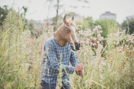 horse mask absurd man in the grassの写真素材