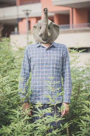 elephant mask absurd man in the plantsの写真素材