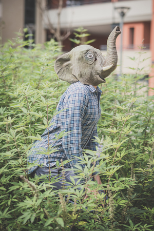 elephant mask absurd man in the plantsの写真素材