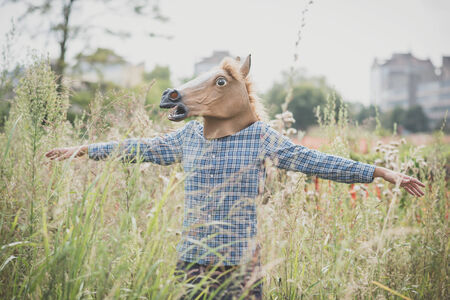 horse mask absurd man in the grassの写真素材