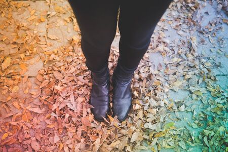 close up of woman legs in dry leaves autumn outdoorの写真素材