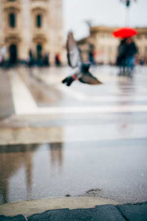 blurred city and people urban scene backgroundの写真素材