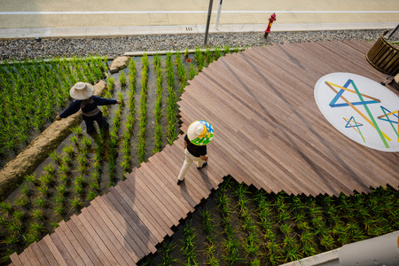 MILAN, ITALY - MAY 27: thailandia pavillon at Expo, universal exposition on the theme of food on MAY 27, 2015 in Milanのeditorial素材