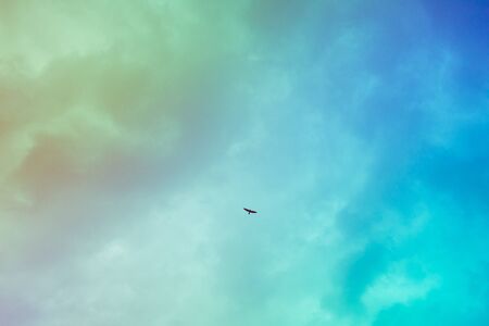 Vintage colorful filtered view of a bird flying in the sky - freedom conceptの写真素材