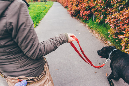 Woman qalking outdoor in a city park with her dog on a leashの写真素材