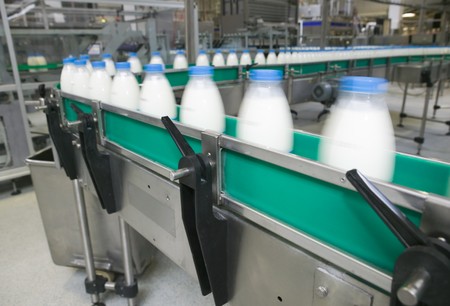 Dairy Plant. Conveyor with milk  bottles.の写真素材