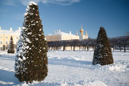 Russian winter. Peterhof. Petrodvorets. Upper Gardens.の写真素材