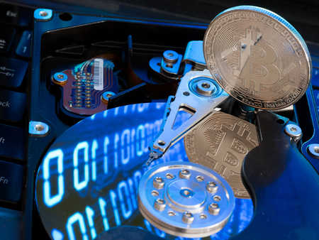 Computer hard disk (hard drive).