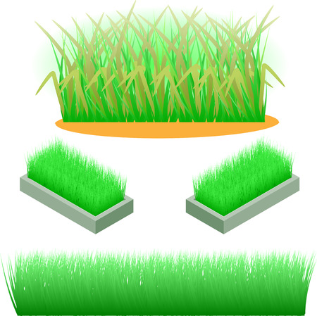 Set of elements of a green grass. Vector illustration.のイラスト素材