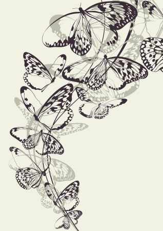 Beautiful butterfly vector background のイラスト素材